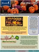 City of Laconia - Laconia Links Newsletter