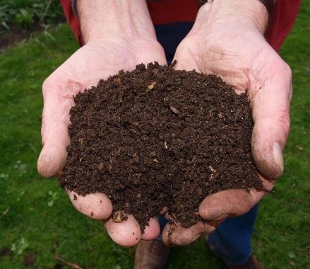 Hands Full of Compost